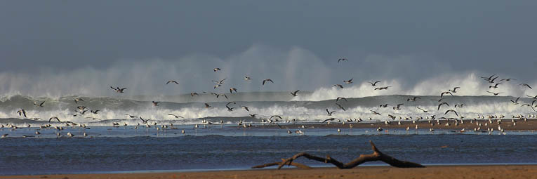 Flut am Oued Souss