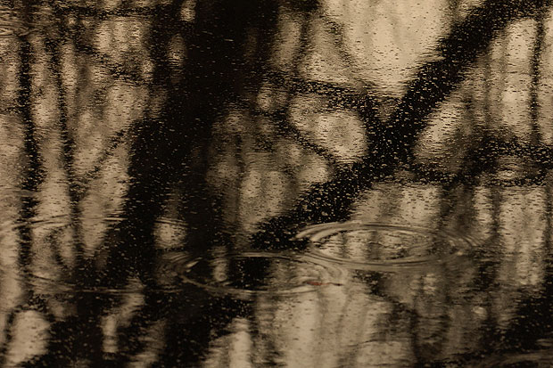 In den Everglades nach Sonnenuntergang