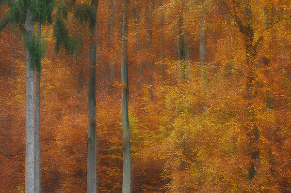 Ein Titelfoto für GalerieIserbachtal