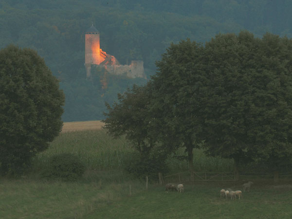 Im Grünen