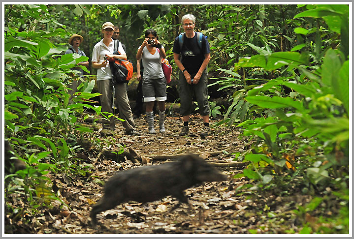 Im Corcovado NP