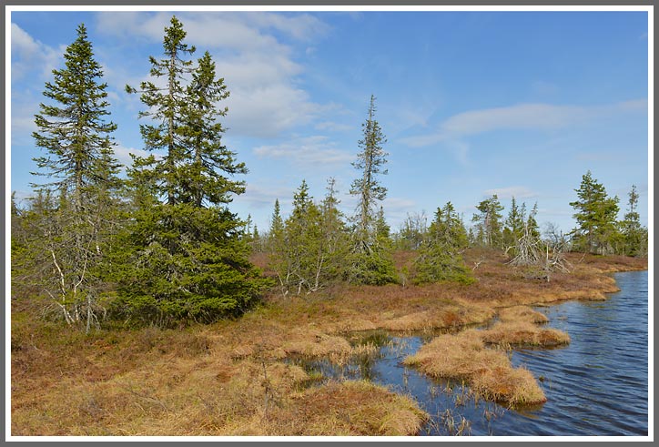 Hochmoor