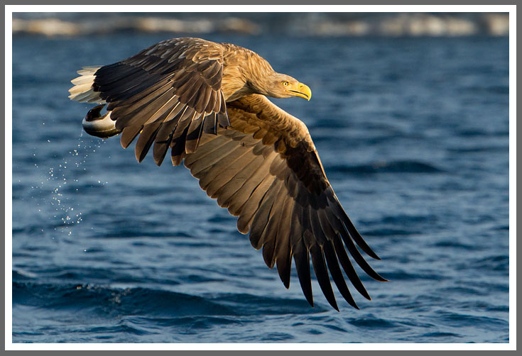 Abflug