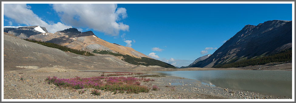 Am Lake Sunwapta