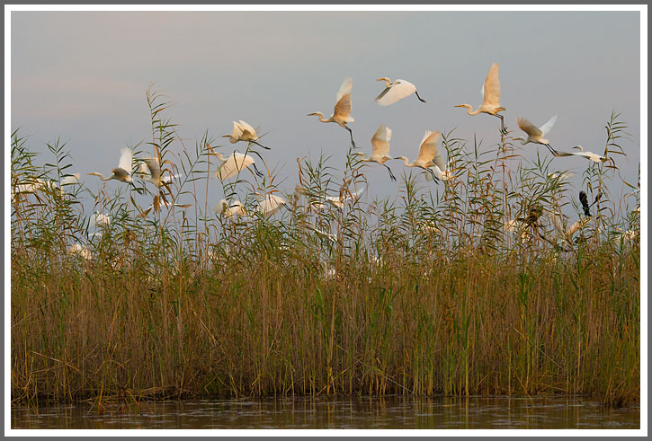 Ein Titelfoto für GalerieVom Okavango-Delta zu den Victoria-Fällen 2014