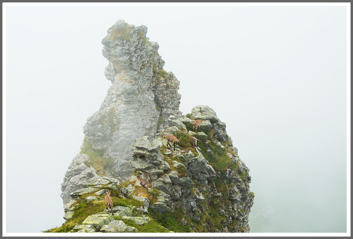 Lieblingsfelsen