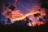 Long Pine Key