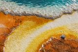Detail am Black Pool