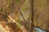 Am Yellowstone Canyon