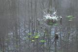 Winternebel