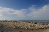 Lamberts Bay
