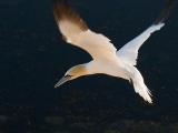 Landeanflug