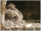 Was guckst du?