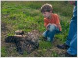 Tragischer Tod
