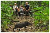 Im Corcovado NP
