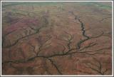 Landschaft bei Upington