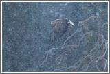 Abflug