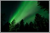 Aurea borealis
