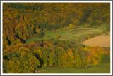 Steinerbachtal