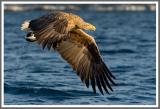 Abflug