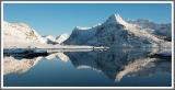 Lofotenpanorama