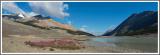 Am Lake Sunwapta