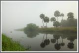Landschaft 2