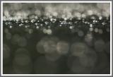 Wasserspiegelungen