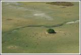Flug in das Okavango-Delta 4