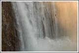 Schreiseeadler an den  Rainbow Falls