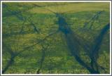 Flug in das Okavango-Delta 7