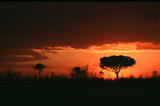  Sonnenuntergang bei Lower Sabie