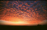  Sonnenaufgang bei Letaba