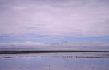 Etosha nach dem großen Regen