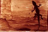 Gecko meets an Indian Artist
