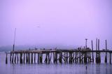 Cedar Key